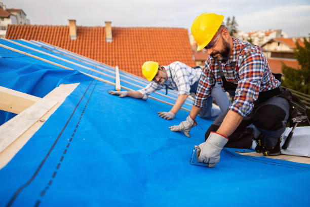 Best Roof Moss and Algae Removal  in Leesburg, OH